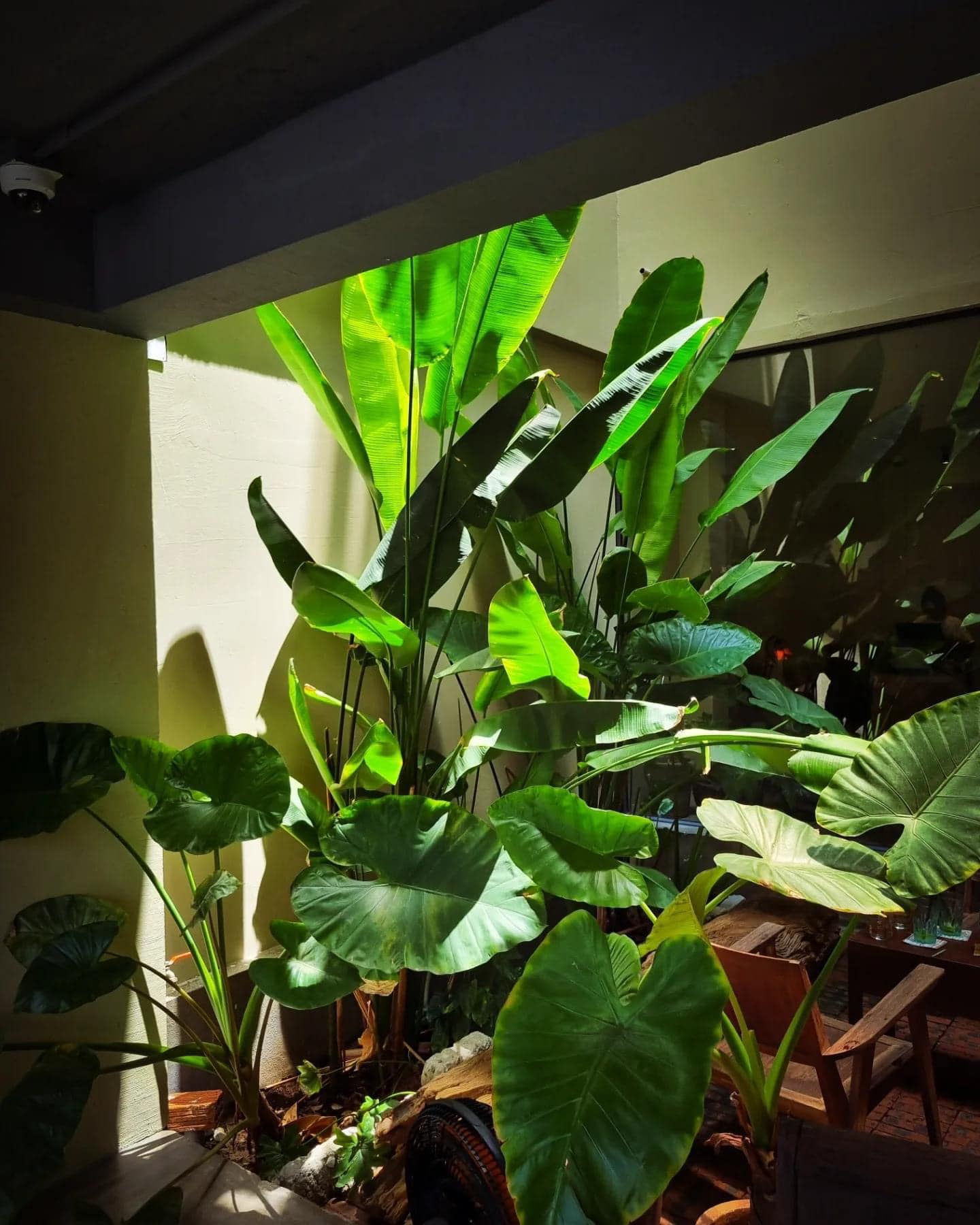 391696206_653606453548219_3568552976187638263_n